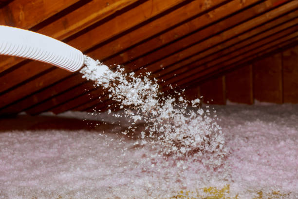 Best Types of Insulation in Vance, AL